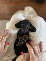 processed/926857df-2156-450d-9e4c-d267738223be/listing/9107e718-0678-4fce-a1c2-047ee489a004/57247ad3-62ce-42c9-aff4-2004410f31cb