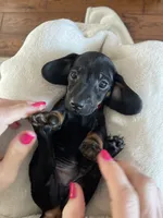 processed/926857df-2156-450d-9e4c-d267738223be/listing/9107e718-0678-4fce-a1c2-047ee489a004/6912dacf-a243-4b68-8636-503d839db4a2