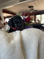 processed/926857df-2156-450d-9e4c-d267738223be/listing/9107e718-0678-4fce-a1c2-047ee489a004/79658ff4-6484-4c02-9f3e-7395cb6aba6c