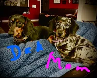 processed/926857df-2156-450d-9e4c-d267738223be/listing/9107e718-0678-4fce-a1c2-047ee489a004/cfe1b090-97e1-4704-b591-4dad1cedf54b