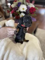 processed/926857df-2156-450d-9e4c-d267738223be/listing/9107e718-0678-4fce-a1c2-047ee489a004/eb44c0b1-36d1-487b-8a46-5d1d54b4369a