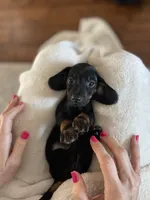 processed/926857df-2156-450d-9e4c-d267738223be/listing/9107e718-0678-4fce-a1c2-047ee489a004/fbe7799f-68bf-41e5-b7af-ef3a8cbe7855