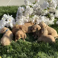 processed/92791cf2-885b-49b2-9db8-e337c4656b94/facility/2a714893-aaf1-4ba5-9ec5-634fcccfd27c