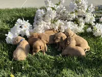 processed/92791cf2-885b-49b2-9db8-e337c4656b94/facility/2a714893-aaf1-4ba5-9ec5-634fcccfd27c