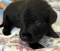 processed/92791cf2-885b-49b2-9db8-e337c4656b94/listing/a35a9850-bc93-43e8-ad9e-fac3fae8084e/de36d076-7619-4755-a8ea-6a3b5f080233