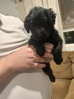 processed/92791cf2-885b-49b2-9db8-e337c4656b94/listing/a35a9850-bc93-43e8-ad9e-fac3fae8084e/f15d7dad-f52b-41d0-8d5f-6331ceb1c654