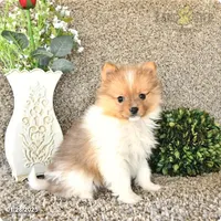 processed/927b3fb9-0366-4e63-997d-0332e7ad38b3/facility/0592648f-3b61-4758-a744-08330752df2b