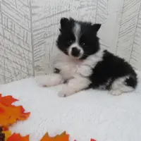 processed/927b3fb9-0366-4e63-997d-0332e7ad38b3/facility/0cea5ae0-0d7f-4877-9bdb-bc08d90f18d0