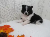 processed/927b3fb9-0366-4e63-997d-0332e7ad38b3/facility/0cea5ae0-0d7f-4877-9bdb-bc08d90f18d0