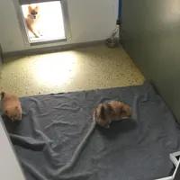 processed/927b3fb9-0366-4e63-997d-0332e7ad38b3/facility/d39e4421-d104-4f1b-88e1-fab8db8ad72f