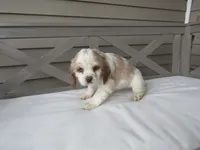 processed/927b3fb9-0366-4e63-997d-0332e7ad38b3/listing/59bf4799-8170-487a-89f7-9253a47233f1/4b4ddd94-bf1c-4e84-9a93-89f35429b13a