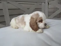 processed/927b3fb9-0366-4e63-997d-0332e7ad38b3/listing/59bf4799-8170-487a-89f7-9253a47233f1/bef55d9a-ef85-4079-9db0-eefd07895246