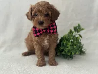 processed/9283528f-db1a-4936-9fc5-04699046b274/listing/329c5fbc-ac59-4663-814e-2104add69677/05314329-97f8-48ea-a33f-53c8bbc6c22b