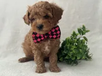 processed/9283528f-db1a-4936-9fc5-04699046b274/listing/329c5fbc-ac59-4663-814e-2104add69677/47fb5575-dcd2-4102-9bac-2457417d13ee