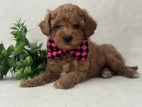 processed/9283528f-db1a-4936-9fc5-04699046b274/listing/329c5fbc-ac59-4663-814e-2104add69677/86e239c6-15d7-4fc2-a06b-04aaad5c5cfd