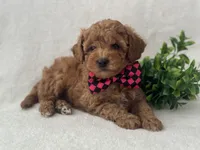 processed/9283528f-db1a-4936-9fc5-04699046b274/listing/329c5fbc-ac59-4663-814e-2104add69677/a11489bb-e8a5-453a-97d6-900c650a83d0