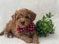 processed/9283528f-db1a-4936-9fc5-04699046b274/listing/329c5fbc-ac59-4663-814e-2104add69677/acb41c57-cda7-4a98-81de-6236a70747c2