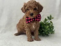 processed/9283528f-db1a-4936-9fc5-04699046b274/listing/329c5fbc-ac59-4663-814e-2104add69677/b2adef70-9a65-47ae-8cf4-62307070fee1