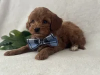 processed/9283528f-db1a-4936-9fc5-04699046b274/listing/a3feebba-f97b-49dd-ab80-925c4ef3990d/050c35f9-9bc4-4f55-966a-c78858fbbcda