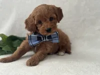 processed/9283528f-db1a-4936-9fc5-04699046b274/listing/a3feebba-f97b-49dd-ab80-925c4ef3990d/196a07d3-f6a7-4bf6-ad6a-d50afcec3628