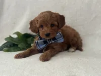 processed/9283528f-db1a-4936-9fc5-04699046b274/listing/a3feebba-f97b-49dd-ab80-925c4ef3990d/4006f8bb-283d-4c7e-8347-91f3d49eb832