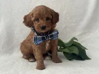 processed/9283528f-db1a-4936-9fc5-04699046b274/listing/a3feebba-f97b-49dd-ab80-925c4ef3990d/5b68f8bb-4b8e-4bb6-8bc8-9e5523a44326