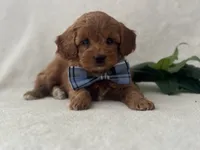 processed/9283528f-db1a-4936-9fc5-04699046b274/listing/a3feebba-f97b-49dd-ab80-925c4ef3990d/6d009a4f-be43-49f5-a7c9-1120a236b49b