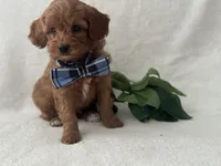 processed/9283528f-db1a-4936-9fc5-04699046b274/listing/a3feebba-f97b-49dd-ab80-925c4ef3990d/8dd2cd4c-7615-4cd5-8129-8acf95188bb4