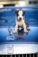 processed/928aff69-f114-4a04-af49-a6ebc3e3bad8/facility/04f34e20-8766-40c6-bff4-d764b16cc12d