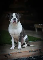 processed/928aff69-f114-4a04-af49-a6ebc3e3bad8/facility/12d6f579-2db0-480a-a989-80f8ce3e755a