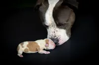 processed/928aff69-f114-4a04-af49-a6ebc3e3bad8/facility/486b696e-246b-4212-a7ff-fd671aa33d0c