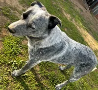 processed/928f11c7-7aa5-4510-bc05-ea12a24753b0/facility/187e981c-7ed4-469b-9f6e-7f04ea5cee16