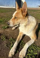 processed/928f11c7-7aa5-4510-bc05-ea12a24753b0/facility/701f92e0-d808-414d-bb85-1e540993cc2b