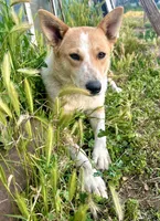 processed/928f11c7-7aa5-4510-bc05-ea12a24753b0/facility/9391c8e9-4062-4647-8ce9-66a684208d59