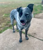 processed/928f11c7-7aa5-4510-bc05-ea12a24753b0/facility/cd44cf2e-c7d5-48d6-8f96-d5b05cf716eb