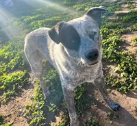 processed/928f11c7-7aa5-4510-bc05-ea12a24753b0/facility/f30114b3-fc7d-4cd9-8b89-c05167c8eefc