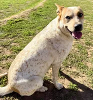 processed/928f11c7-7aa5-4510-bc05-ea12a24753b0/listing/ec1a60ff-e901-47d4-aea9-19c0a6add1b3/01f3be21-92c0-4328-8191-840bcdaa54b3