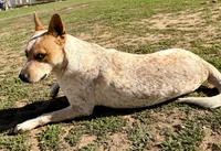 processed/928f11c7-7aa5-4510-bc05-ea12a24753b0/listing/ec1a60ff-e901-47d4-aea9-19c0a6add1b3/67dd06ae-a73a-4ef0-be5b-ee067c31d843