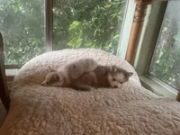 processed/929abe0f-9cb5-4696-a924-5fce78d20121/facility/91a09d72-d1c4-43c6-91db-b1beb011dd50