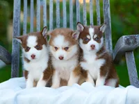 processed/929abe0f-9cb5-4696-a924-5fce78d20121/facility/a73064e4-fd2c-4e5c-af22-872a64174791