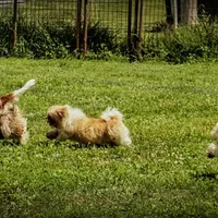 processed/929d2afc-5dc9-438a-8113-41bc83a0033d/facility/6e6c3164-aebe-4cff-9218-6c743cb38ede