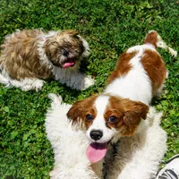 processed/929d2afc-5dc9-438a-8113-41bc83a0033d/facility/820ee491-23e1-4fbd-9044-536bcab26626