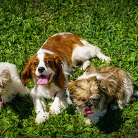 processed/929d2afc-5dc9-438a-8113-41bc83a0033d/facility/9d3132b0-c266-47e2-857e-00b6ca19a3f7