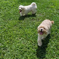 processed/929d2afc-5dc9-438a-8113-41bc83a0033d/facility/ae1d4fec-c08f-4904-aa00-c13c032ab097