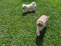 processed/929d2afc-5dc9-438a-8113-41bc83a0033d/facility/ae1d4fec-c08f-4904-aa00-c13c032ab097