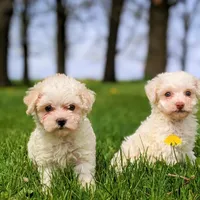 processed/929d2afc-5dc9-438a-8113-41bc83a0033d/facility/cde5b1f5-4991-457a-bc18-738bb9f5591b