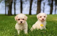 processed/929d2afc-5dc9-438a-8113-41bc83a0033d/facility/cde5b1f5-4991-457a-bc18-738bb9f5591b