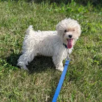 processed/929d2afc-5dc9-438a-8113-41bc83a0033d/facility/da21ebe3-9dfa-42bc-9584-0feb5a603e37