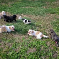 processed/929d2afc-5dc9-438a-8113-41bc83a0033d/facility/dc930391-77b3-4019-8be2-14a85af1cb56