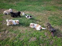 processed/929d2afc-5dc9-438a-8113-41bc83a0033d/facility/dc930391-77b3-4019-8be2-14a85af1cb56